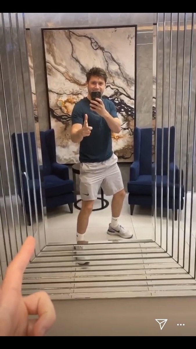 rating niall horan’s finger gun selfies; a thread