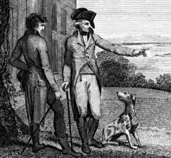 George Washington had dogs, a parrot and a donkey. They had names like Drunkard, Sweetlips and Cornwallis (the general he famously defeated). My favourite is his dalmatian, Madame Moose.