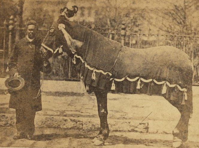 Lincoln, of course, had a horse. But finally we get a photo! Here's Old Bob, being led by Rev. Henry Brown at Lincoln's funeral.