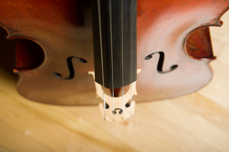 Johnsonstring's tweet image. Calling all cello players! Make sure you’re using the right #cello strings to increase your instrument’s playability and your musicality. johnsonstring.com/cellos-facts/C…
#stringedinstruments #practicetools #musicianaid