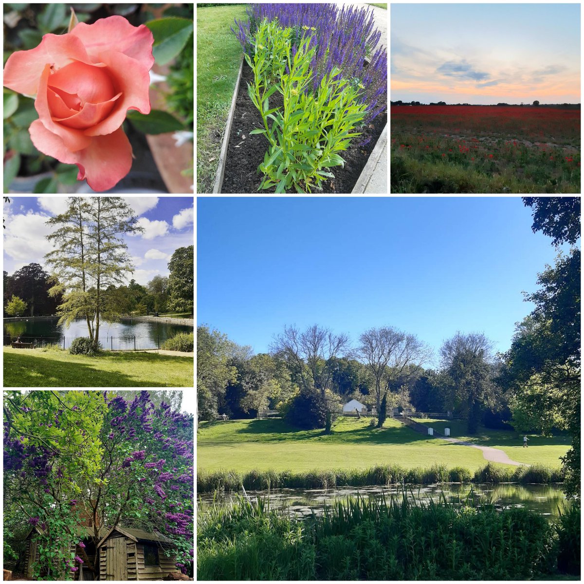 UOS_Alumni's tweet photo. #Suffolkbecause 
Suffolk is beautiful https://t.co/03knGgWCIJ