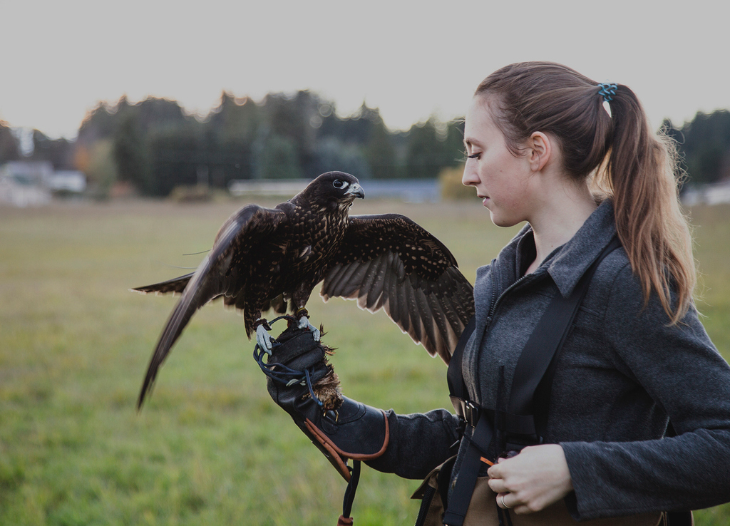 Falcanna (@falcanna_wa) on Twitter photo 