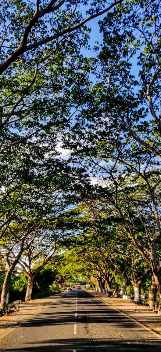 Postcard for  @c8h10n4o2m A highway in Tamil Nadu, India.