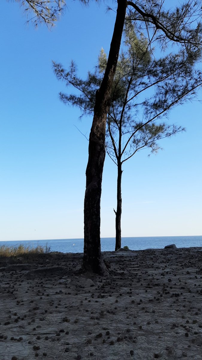 Simonerio's tweet image. 