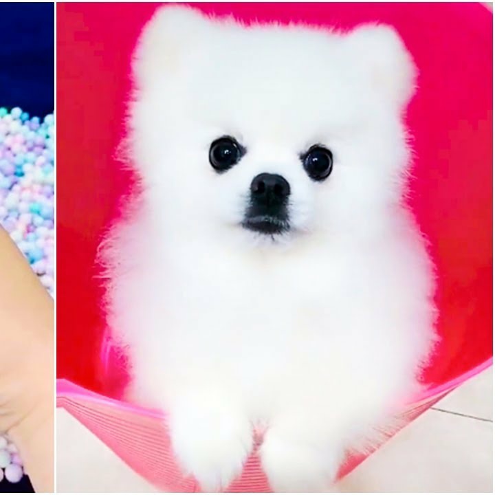 #NouvellePhotoDeProfil