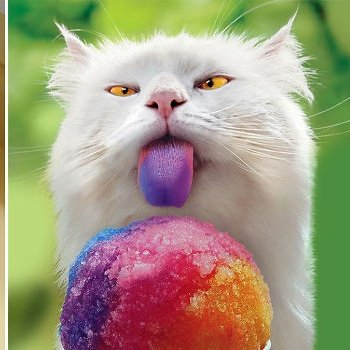 #NouvellePhotoDeProfil