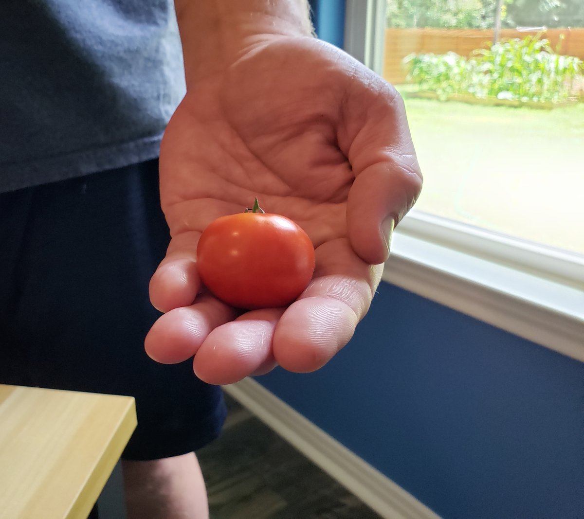 RG_Alexander's tweet photo. We had some success, including jalapenos, but no joy on the corn and we're still waiting to see about the carrots and potatoes. Cross your fingers. #ourfirstgarden https://t.co/XncwnQrzDf