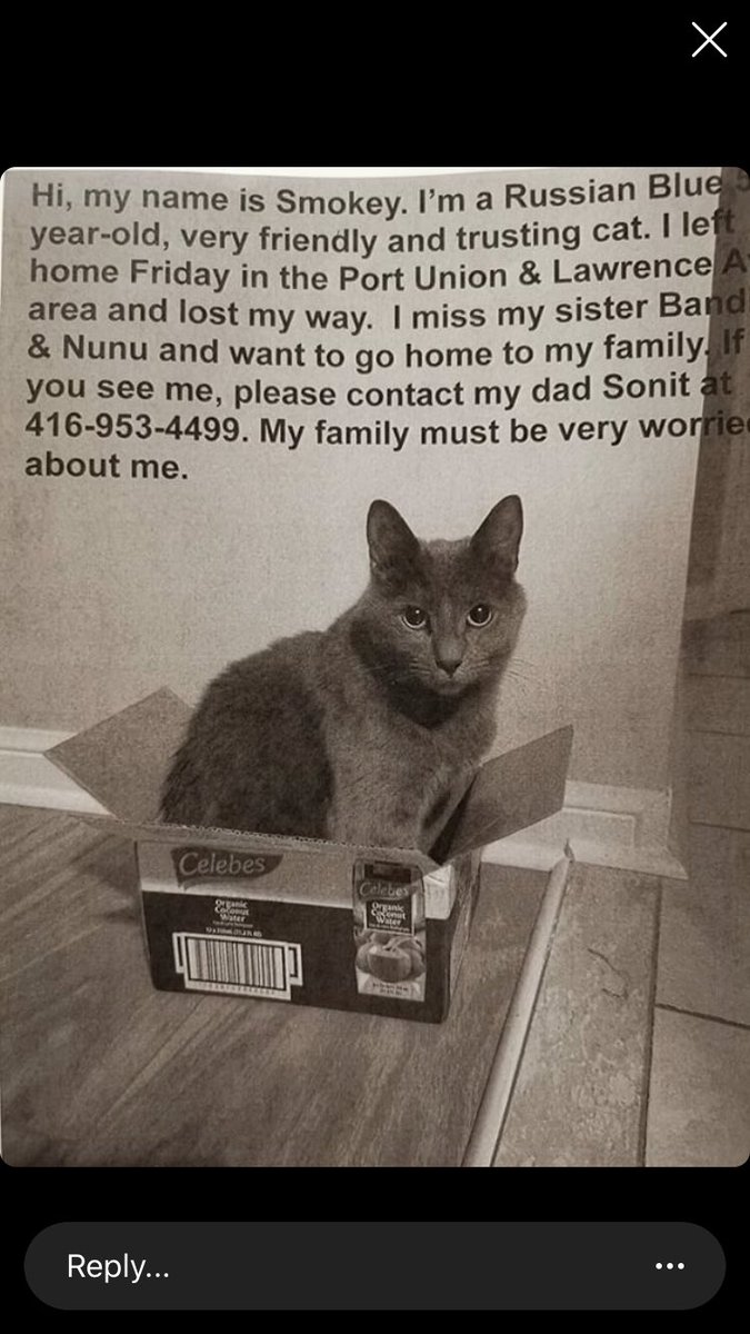 EtobHumaneSoc's tweet photo. #lostcat #portunionlawrence https://t.co/2CulltFqOm