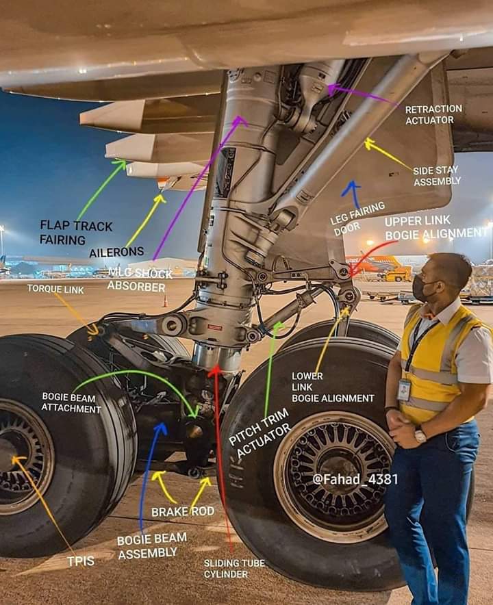 This is how an aircraft engineer sees landing gear 🤩
Photo by Unknown
#aircraftengineer #aviation
#AvGeek #airplane