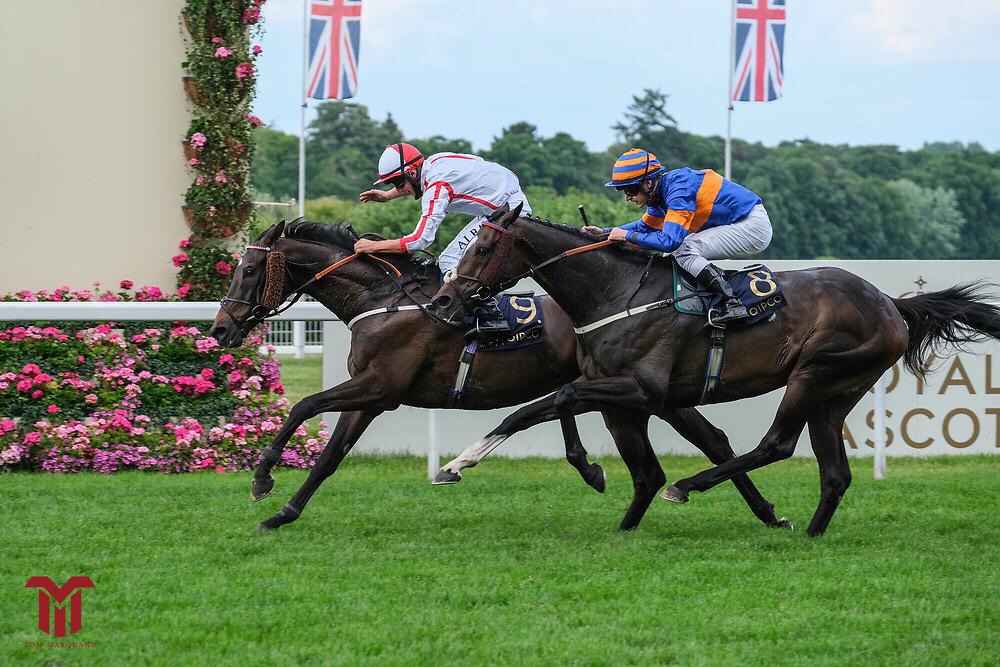 Incredible way to end Royal Ascot getting my first winner on the board on Who Dares Wins🏆A huge amount of credit has to go to @PonsonbyHenry who has stood by myself and Hollie from the start & also Alan King & the team at home 3 winners this week! Thankyou for all the messages😁