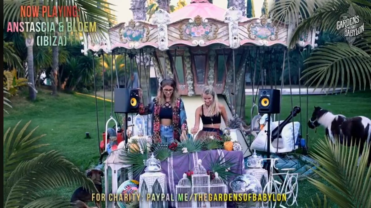 SamvanRooy1's tweet photo. ๐ต Ik kan iedereen deze livestream aanraden: online party #GardensOfBabylon ๐โค
Link ๐
https://t.co/pz5r1cM1V8 https://t.co/CDNA5MEtyo