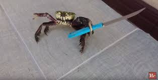"See ? I have a picture to prove it, this little guy was a tough one !"
