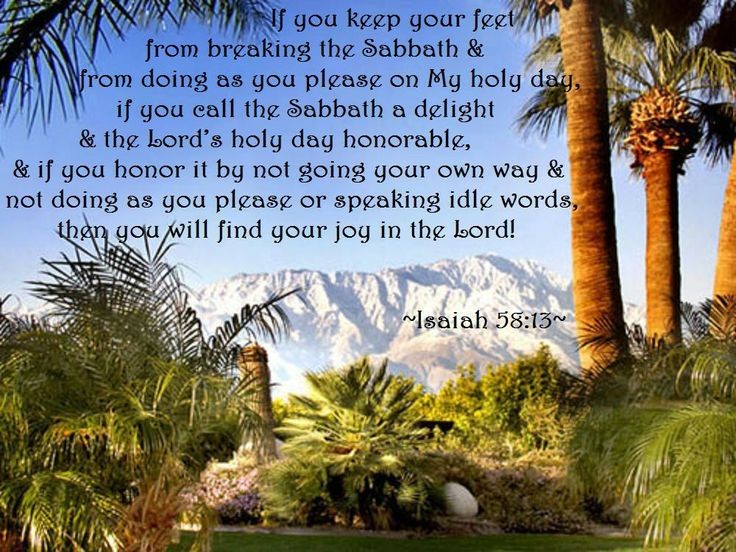 ministerricky1's tweet image. Thank You for #YourHolySabbath O God &amp;amp; for the mercy &amp;amp; grace of #RestInYou which You provide

Help us #NotReject Your Sabbath but to #FindDelight in honouring Your holy day as You command us

Please provide #PeaceAndComfort to our heart, mind, body &amp;amp; soul

IJCN,TY
#EuropaAfricaUS