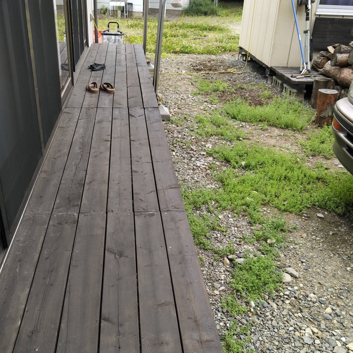 電脳職人 我が家の庭で 唯一蔓延ることが許されているロイヤルミント 食用には不向きな虫除け用です 縁側が出来る前の物干し台定位置周辺から パン焼き小屋へと向かう動線がハッキリ解ります 笑 小さい足で動き回り 種を拡散させたのでしょうね