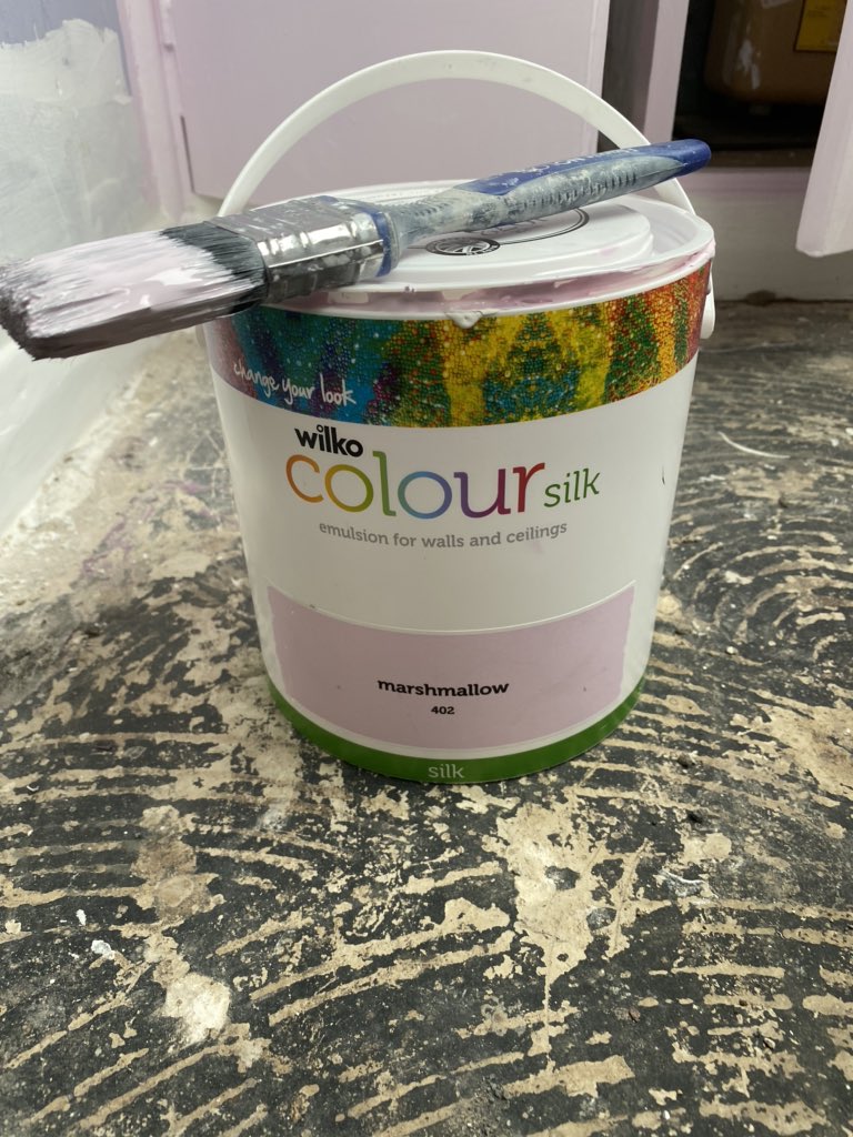 deargem's tweet photo. Today’s hair colour, courtesy of Wilko Marshmallow silk, while painting the cupboard! #ProjectPinkPalace #PinkSparkles #PinkJob xxx https://t.co/3P6pBlkHMv