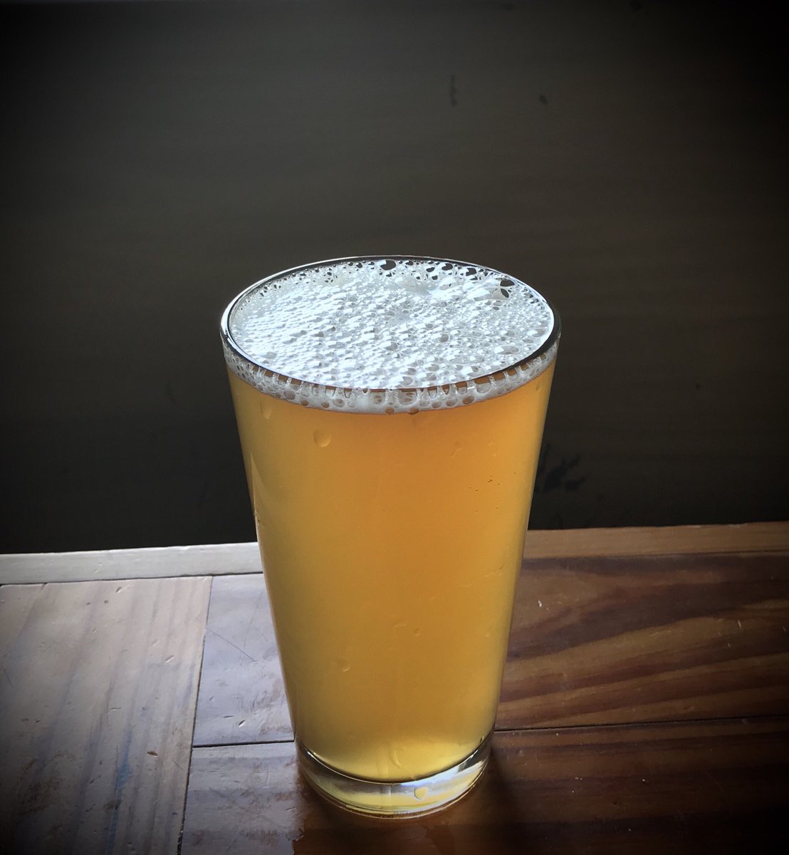 Acrobat sour beer is on tap now, a kettle sour, lightly flavored with botanicals and fruity hops!