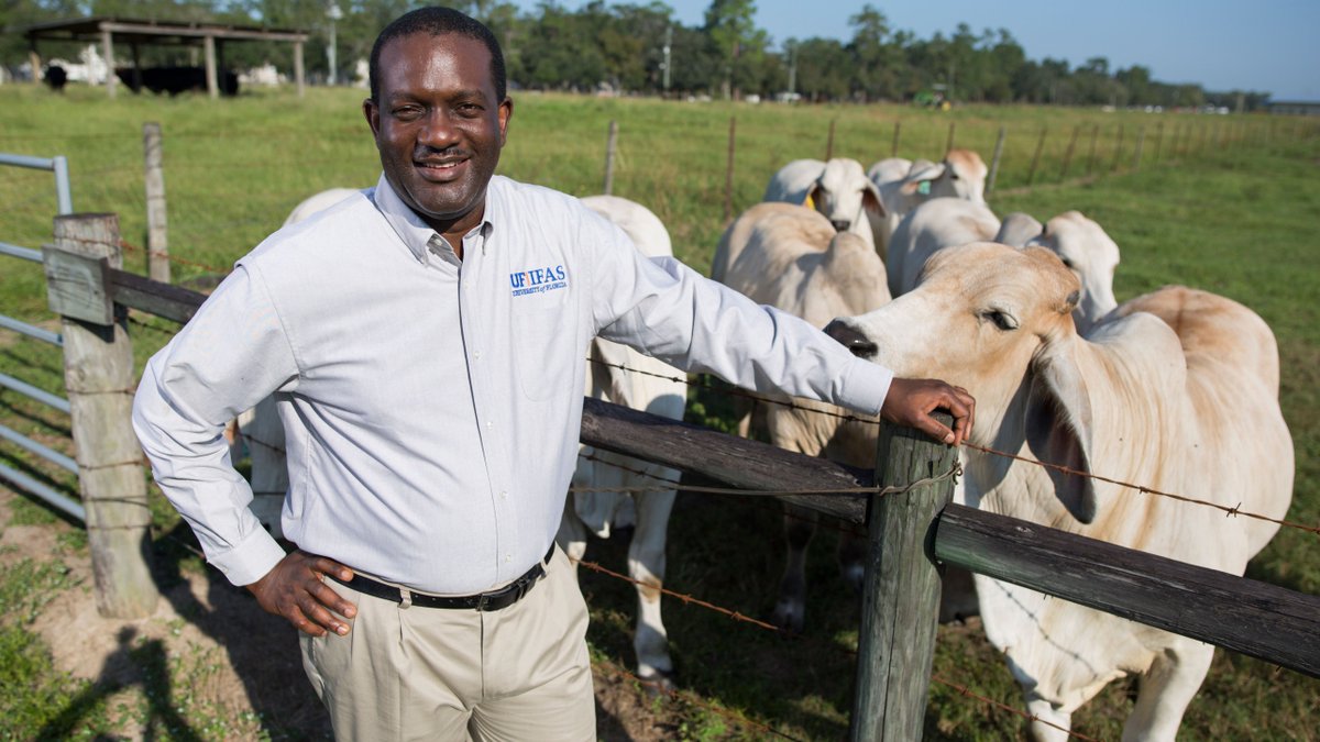 Congrats to @UF professor Adegbola Adesogan, a 2020 recipient of the Highly Cited Award from the @jdairyscience! 🐄
.@UFCALS, @uf_ansci @Livestock_Lab
(📸: UF/IFAS file photo, 2017) https://t.co/VRePJtq3DE