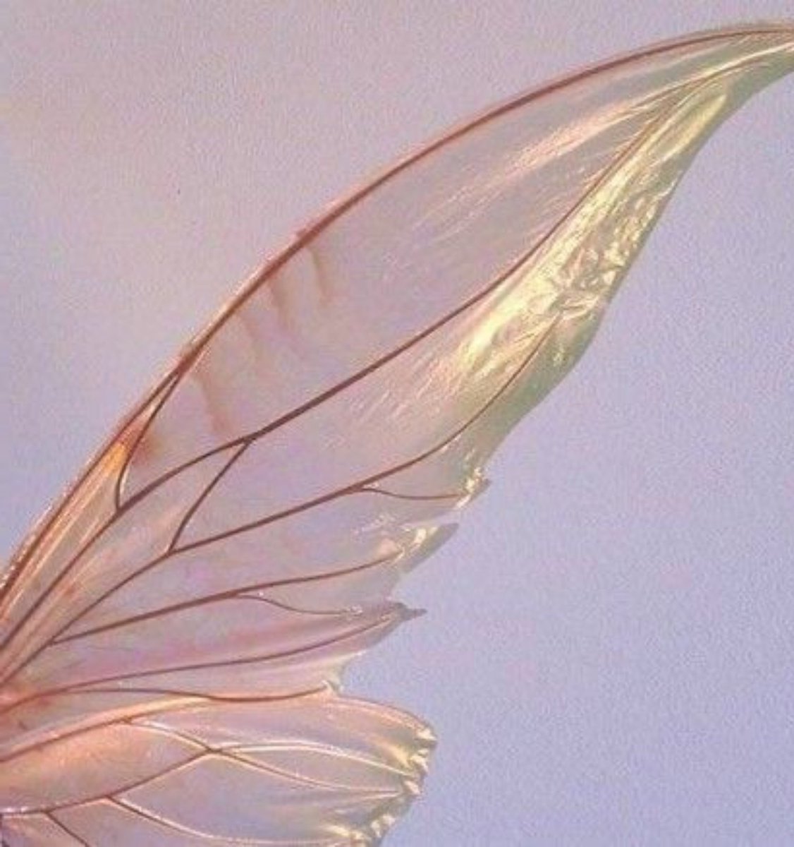 picsofhandong's tweet image. han dong 🧚‍♀️🌸