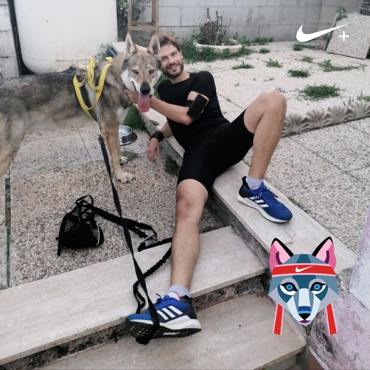 Handsome wolves 🐺🏃🏻
#canitrail #canicross #running #corsa #correre #run #nikerunclub #nike #canelupocecoslovacco #lupidelvelino #lupo #canelupo #wolf #wolfdog #czechoslovakianwolfdog #onlythebraves #nopainnogain #neewa #diadora #adidas #runnersglobe