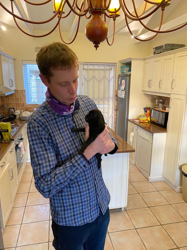 viljoenvn's tweet photo. Yes, I became a Dad tonight!
Welcome home, Bertus!

#pug #pugbaby #18June2020 https://t.co/5sP2JTT7wr