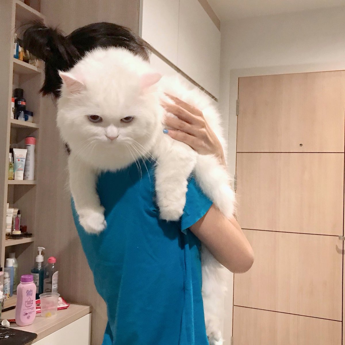 For96419513's tweet photo. #NewProfilePic https://t.co/CkUg8h7CK8