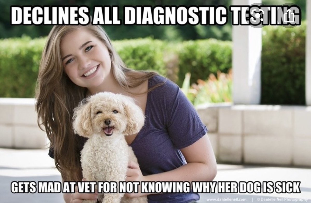 vet_raw's tweet image. #vetmed #clienthumor