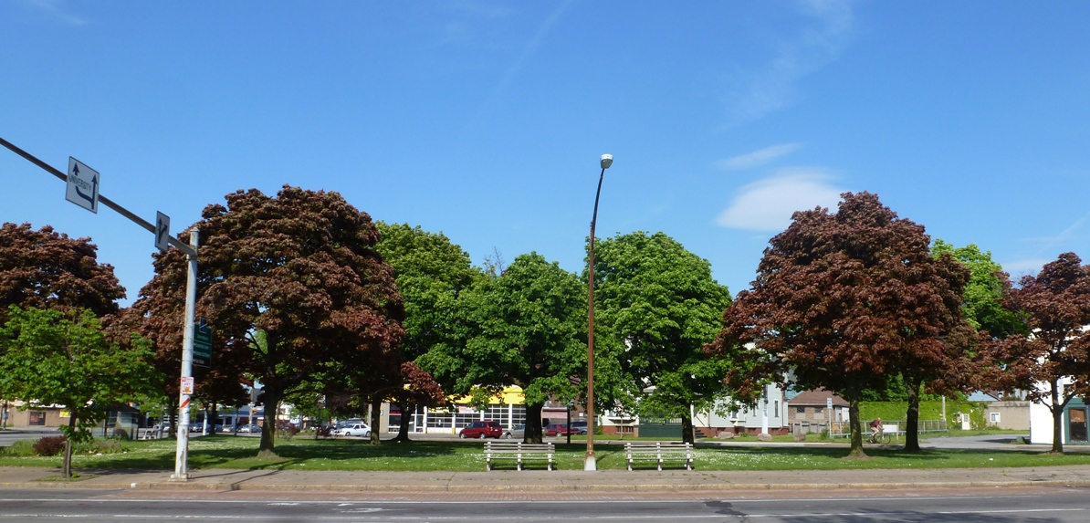 Inner Loop North tweet media