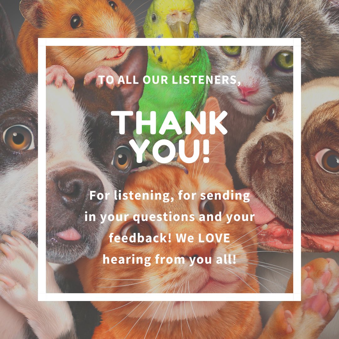 TheBlepShow's tweet photo. THANK YOU! Our show has taken off quicker than we imagined! We have loved hearing from you about your pets, our episodes and suggestions for the future! #TheBlep #podcast #pandemicproject #thanks https://t.co/7atcqqswR2