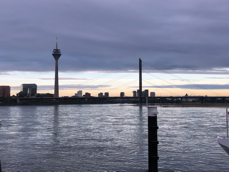 Tobias Steinke MD (@steinketobias) on Twitter photo Extremely happy to have performed the 1st 4F+ WavelinQ case today in Europe! Success in all 3 cases with distal ulnar and radial access. New catheters worked well in tortuous anatomy. Amazing. <a href="/schoenklinik_de/">Schön Klinik</a> <a href="/BDandCo/">BD</a> #endoAVF #WavelinQ <a href="/KidneyAcademy/">KidneyAcademy</a> <a href="/VascularNews/">Vascular News</a> <a href="/EVToday/">Endovascular Today</a> Extremely happy to have performed the 1st 4F+ WavelinQ case today in Europe! Success in all 3 cases with distal ulnar and radial access. New catheters worked well in tortuous anatomy. Amazing. <a href="/schoenklinik_de/">Schön Klinik</a> <a href="/BDandCo/">BD</a> #endoAVF #WavelinQ <a href="/KidneyAcademy/">KidneyAcademy</a> <a href="/VascularNews/">Vascular News</a> <a href="/EVToday/">Endovascular Today</a>