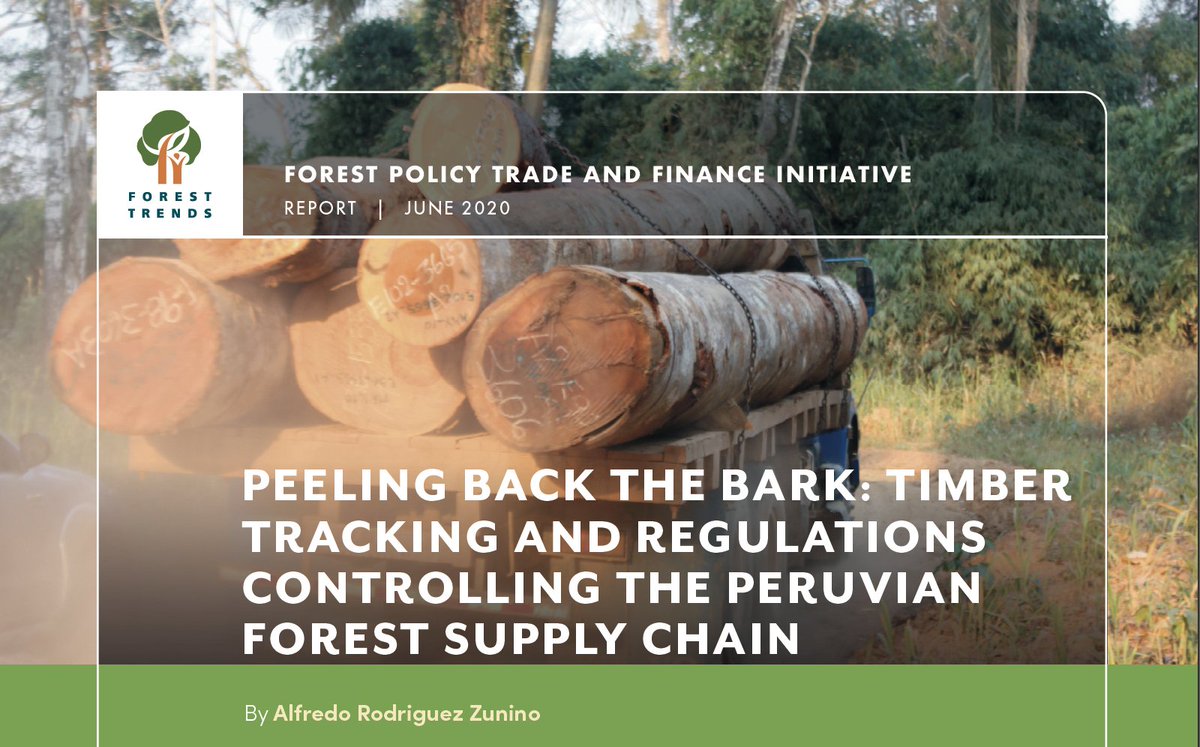 foresttrendsorg's tweet photo. In Peru, efforts to improve traceability along the timber supply chain are hampered by handwritten record keeping and documentation. @foresttrendsorg examines directives introduced to tackle this challenge in new report: https://t.co/PVgMnqruI7 @SUNATOficial @TimberTradeFed https://t.co/kSEPQLrqLI