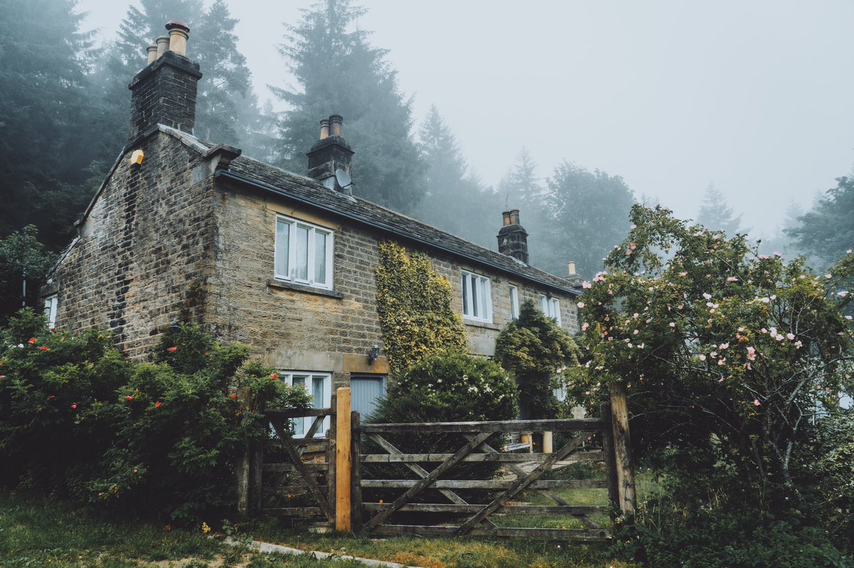 Daniel Casson tweet media