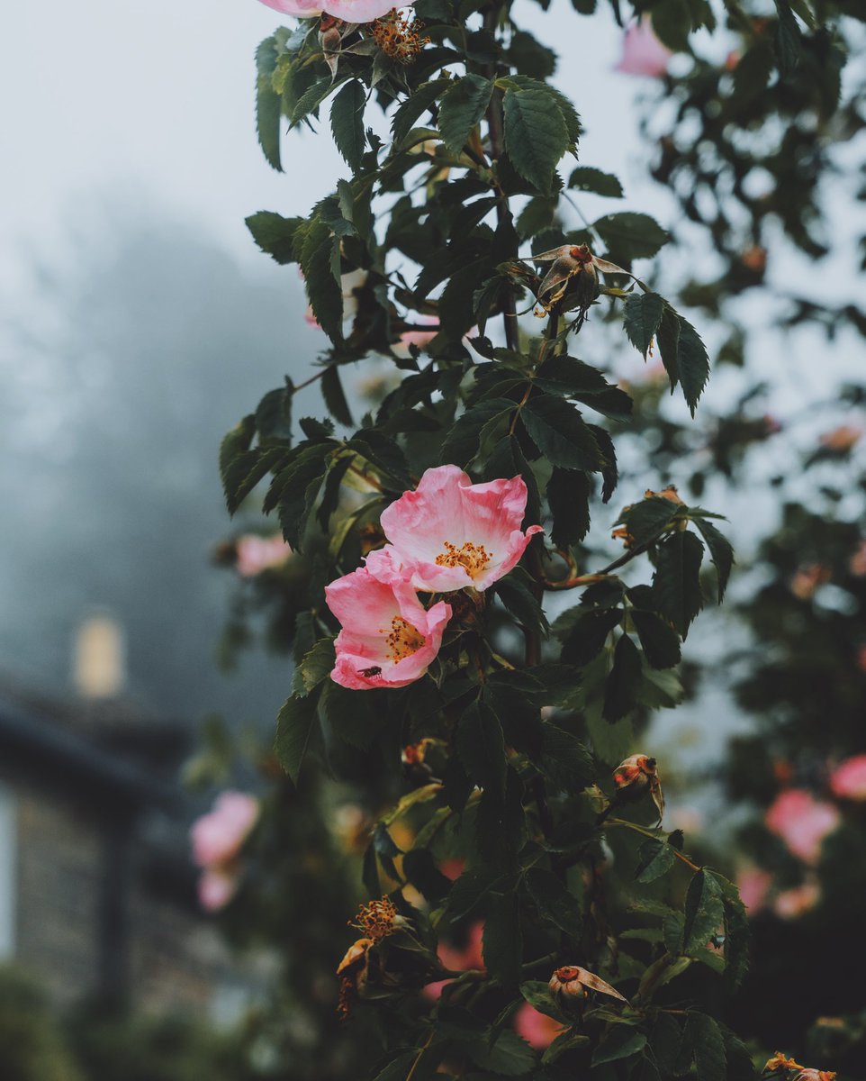Daniel Casson tweet media