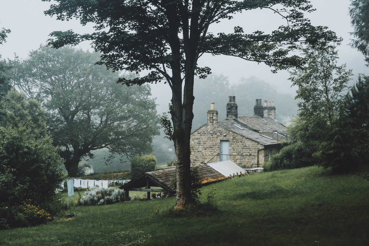 Daniel Casson tweet media