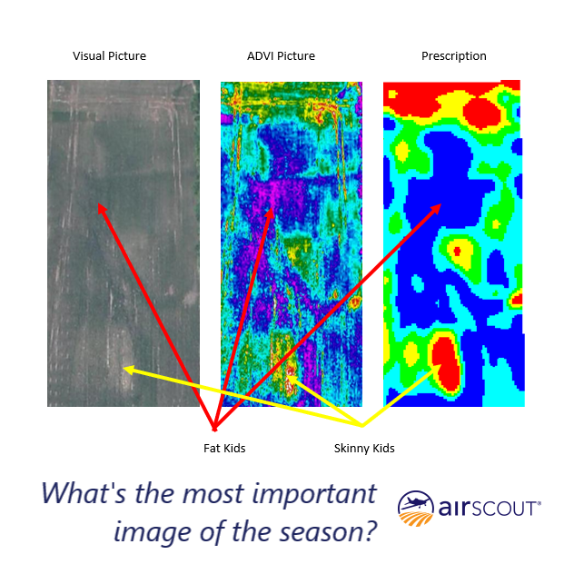 What is the MOST IMPORTANT Shot of the Season? Read the latest from Brian at AirScout mailchi.mp/c625195f1d5d/t… 

#farming #aerialimagery #cropmanagement #farmmanagement #precisionagriculture #agtech #agriculture #agtips #midwestfarmer #farm #farmers #cropscouting #farmtools