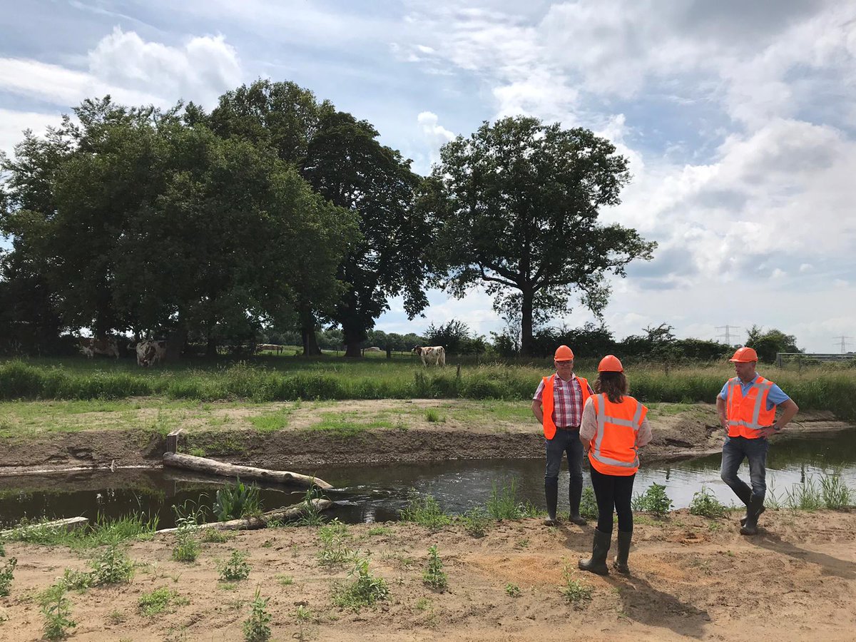 Hanna de Weerd tweet media