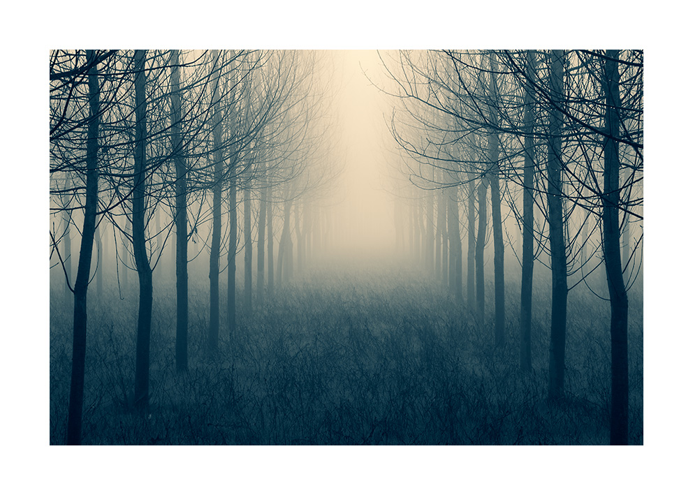 xaviermanrique's tweet photo. Perfilava la seva ruta, la del silenci, en silenci. Un dia
Perfilaba su ruta, la del silencio, en silencio. Un día
#breus #breusproject
#forest #nature
#poetic #intim #bellesa #melangia #poemavisual
#estanysdesils
#minimalism
#landscapephotography #fineartphotography
#xmanrique https://t.co/AzMP2cN1Kw
