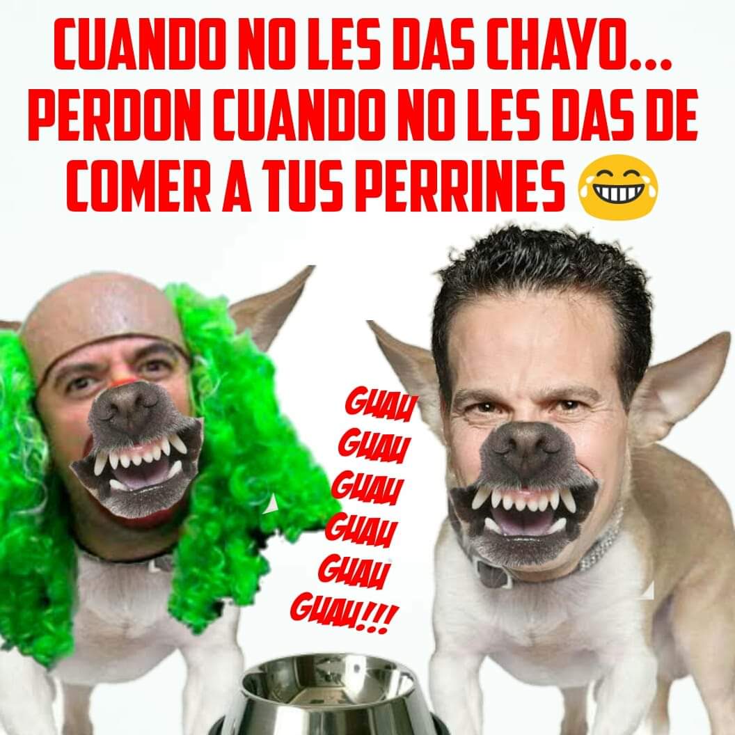 El Club De La Papaya Feliz El Show tweet media