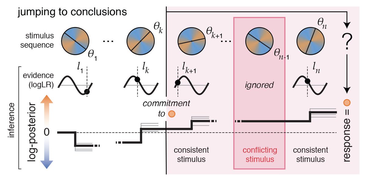 Through simulations, we propose that jumping to conclusions reflects an urge to escape the high uncertainty triggered by ketamine by committing to a decision early. In other words, a compensatory mechanism against uncertainty, rather than a correlate of overconfidence. (13/18)