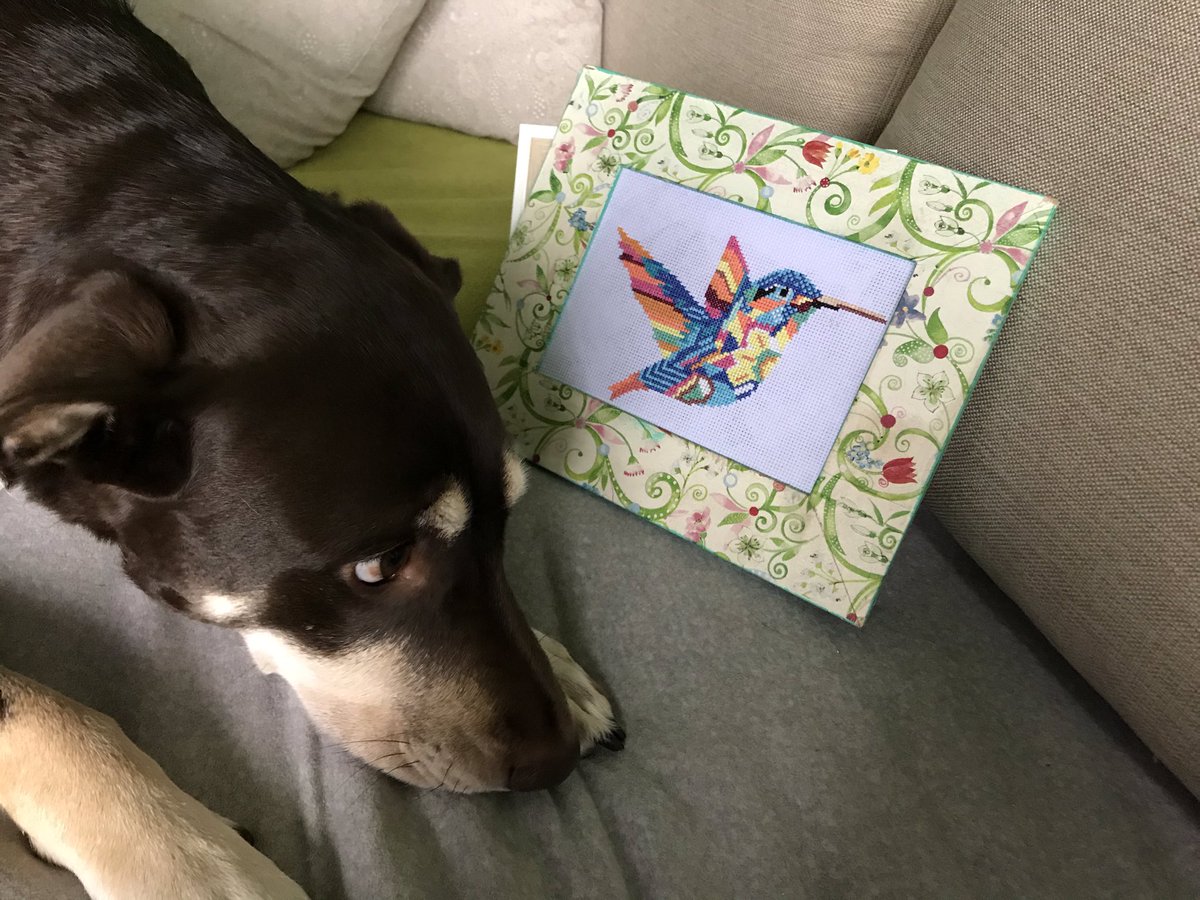 bordhada's tweet photo. 🐱🐶Me parece que Cata y Mora piensan que es real de tan lindo que quedó!🙃🥰
Si tenés algún proyecto en mente, estaré feliz de hacerlo realidad 🥰
#bordado #bordadosamano #bordados #hechoamano #hechoconamor #colibrí #picaflor #obrasbordadas #obrasbordadasenpuntocruz https://t.co/PiQIbeo2XA