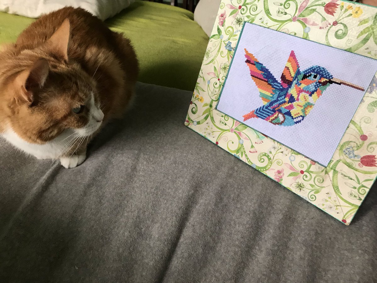 bordhada's tweet photo. 🐱🐶Me parece que Cata y Mora piensan que es real de tan lindo que quedó!🙃🥰
Si tenés algún proyecto en mente, estaré feliz de hacerlo realidad 🥰
#bordado #bordadosamano #bordados #hechoamano #hechoconamor #colibrí #picaflor #obrasbordadas #obrasbordadasenpuntocruz https://t.co/PiQIbeo2XA
