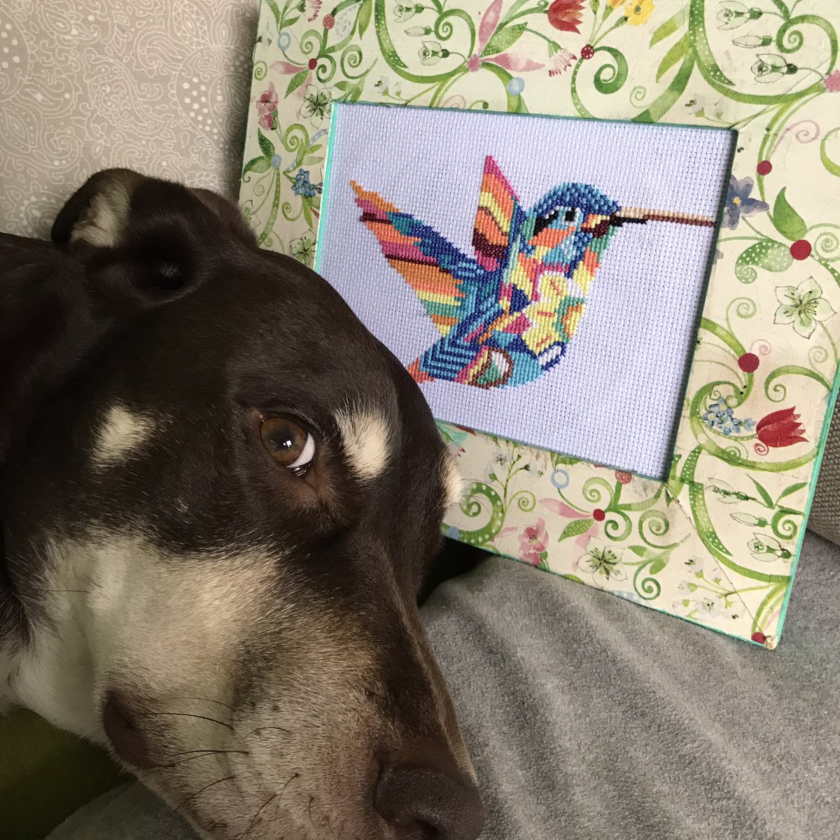 bordhada's tweet photo. 🐱🐶Me parece que Cata y Mora piensan que es real de tan lindo que quedó!🙃🥰
Si tenés algún proyecto en mente, estaré feliz de hacerlo realidad 🥰
#bordado #bordadosamano #bordados #hechoamano #hechoconamor #colibrí #picaflor #obrasbordadas #obrasbordadasenpuntocruz https://t.co/PiQIbeo2XA
