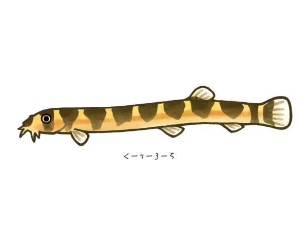 淡水魚のtwitterイラスト検索結果 古い順 淡水魚のtwitterイラスト検索結果 古い順