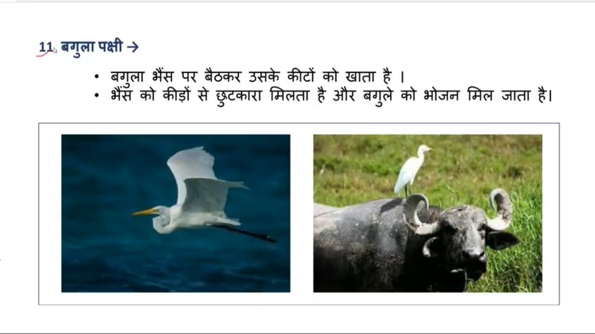 ramkrishan02's tweet photo. 🎯 #पर्यावरण_अध्ययन【EVS】#SHORT_NOTES 🎯 https://t.co/OrNSjLBzXN