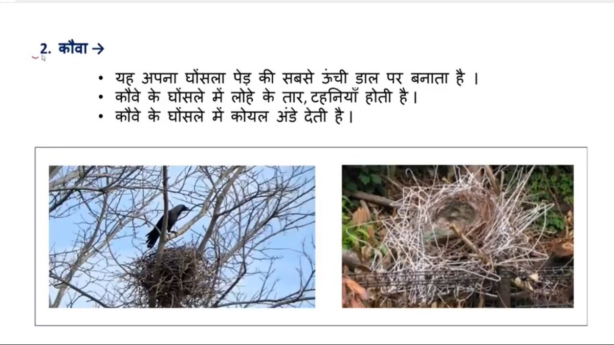 ramkrishan02's tweet photo. 🎯 #पर्यावरण_अध्ययन【EVS】#SHORT_NOTES 🎯 https://t.co/OrNSjLBzXN