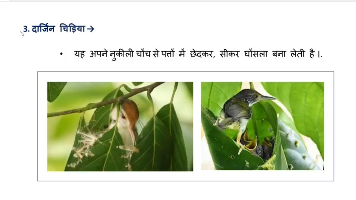ramkrishan02's tweet photo. 🎯 #पर्यावरण_अध्ययन【EVS】#SHORT_NOTES 🎯 https://t.co/OrNSjLBzXN