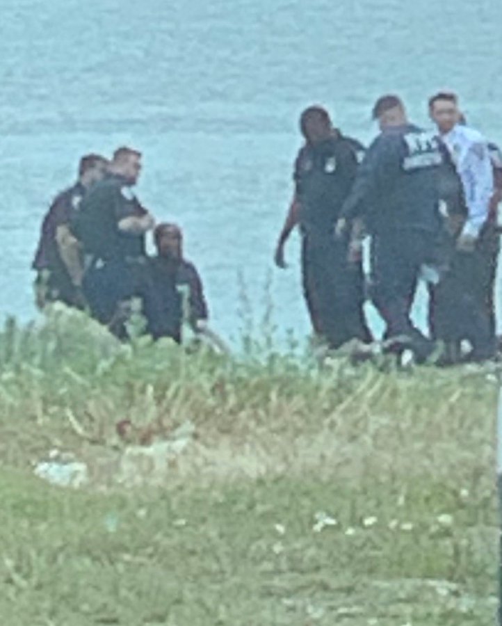 View image on Twitter