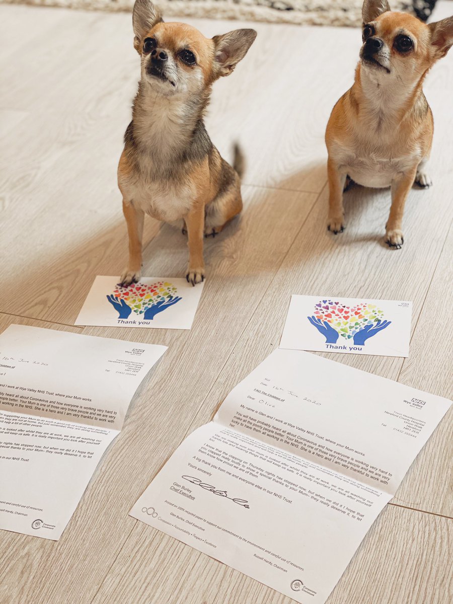 Thank you <a href="/WyeValleyNHS/">Wye Valley NHS Trust</a> letter of thanks to my ‘kids’ for all their support over the last few months 🌈🌈 do not underestimate the power of pet therapy, no matter how hard a shift you will always be greeted with a wagging tail 🐶