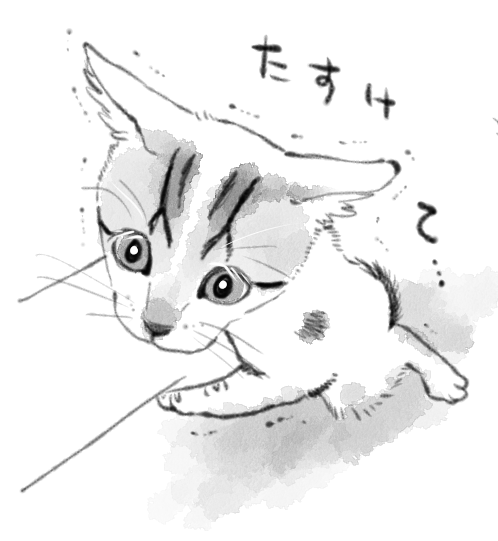 【まめのすけ】かわいい写真を描いてみるシリーズ 