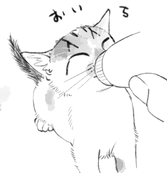 【まめのすけ】かわいい写真を描いてみるシリーズ 