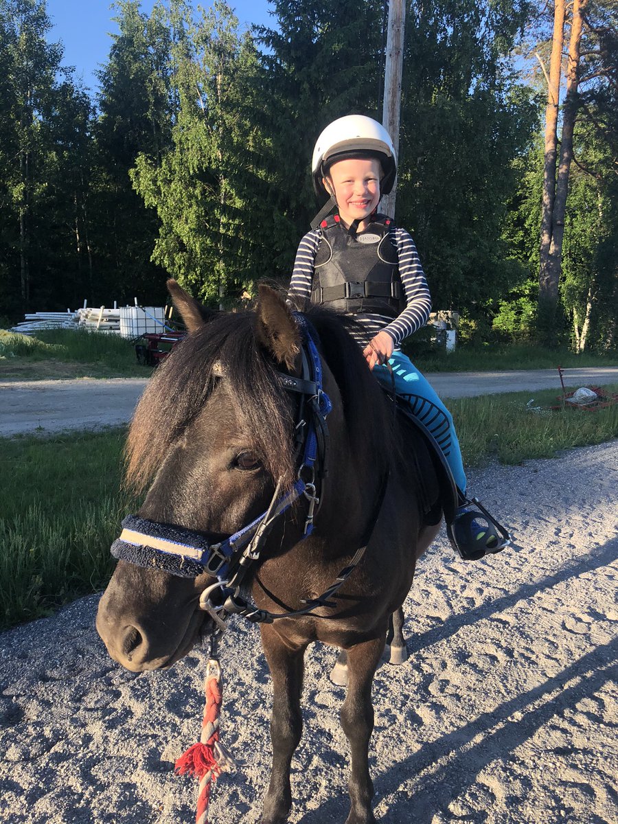 RiggoIda's tweet photo. Härligt med sommarlov så man kan rida på kvällen 😍❤️ #maxter #teamkarlsson #gotlandsruss #kvällstur #ponny #sommarlov #älskarhästar https://t.co/0OhbQCBTPh